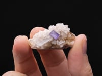SCHEELITE with FLUORITE and DOLOMITE