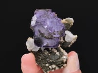 FLUORITE with CALCITE, QUARTZ  DOLOMITE, MUSCOVITE and PYRITE