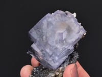 FLUORITE with FERBERITE, QUARTZ, ARSENOPYRITE and MUSCOVITE