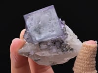 FLUORITE on QUARTZ