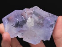 FLUORITE   with CALCITE
