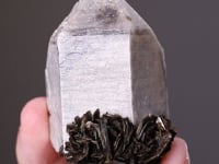 QUARTZ with "Zinnwaldite"