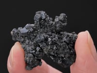 STEPHANITE
