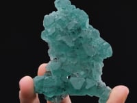 FLUORITE with ARSENOPYRITE