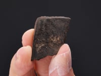 Olivine - Hypersthene Chondrite Meteorite