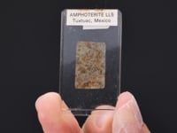 Amphoterite - Meteorite Polished Section