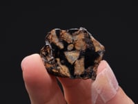 Pallasite Stony-Iron Meteorite