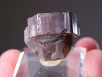 FLUORAPATITE