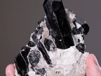 SCHORL