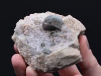 FLUORAPATITE