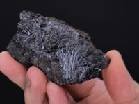 CYLINDRITE with FRANCKEITE and WURTZITE