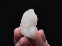 DATOLITE