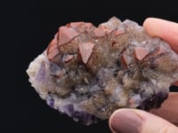 QUARTZ var. Eisenkiesel and Amethyst