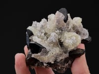 OPAL var. Hyalite on Smoky QUARTZ