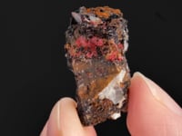 CUPRITE var. Chalcotrichite