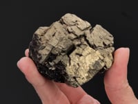 PYRITE with SIDERITE