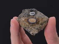 CASSITERITE