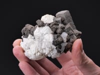WITHERITE with CALCITE