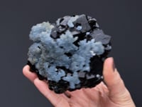 CELESTINE on FLUORITE