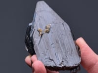 FERBERITE with MUSCOVITE