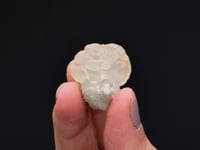CALCITE on DOLOMITE
