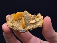WULFENITE