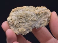 PARAVAUXITE on WAVELLITE
