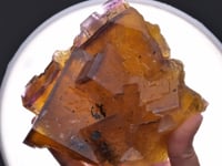 FLUORITE