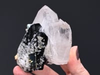 FERBERITE with ARSENOPYRITE and QUARTZ