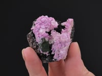 Cobaltoan CALCITE on Cobaltoan DOLOMITE with KOLWEZITE