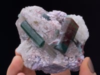 ELBAITE on QUARTZ with Cleavelandite and Lepidolite