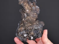 ALLARGENTUM