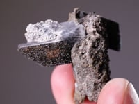 WHEWELLITE with SMYTHITE inclusions