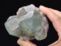 FLUORITE with QUARTZ
