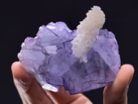 FLUORITE with CALCITE