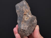 NATIVE LEAD
