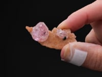 Cobaltoan CALCITE with KOLWEZITE on CALCITE